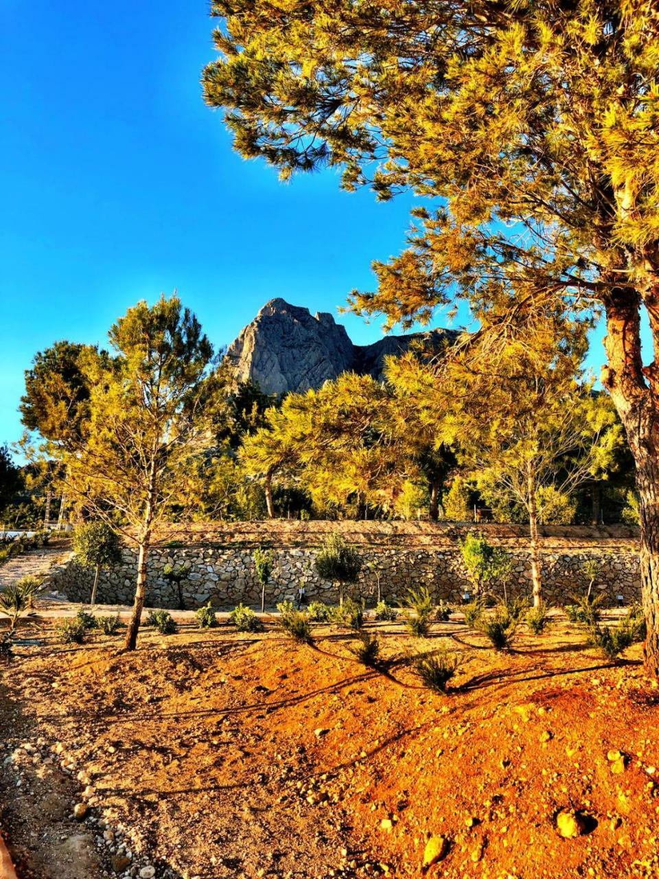 Nature Suites Puig Campana By Ar Hotels & Resorts Finestrat Extérieur photo